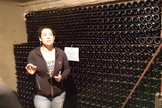 Champagne Lamiable: Traditional Tour & Tasting - A Close Look at Champagne Lamiable: An Insider’s Perspective