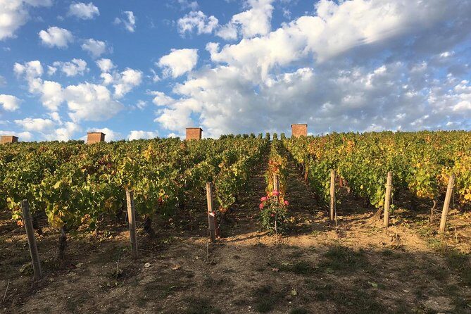 Champagne & Loire Valley Small Group Double Wine Day Tours - What Travelers Love About This Tour