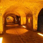 Champagne Private Wine Day Trip with Lunch and Wine Tastings - An In-Depth Look at the Champagne Private Wine Day Trip