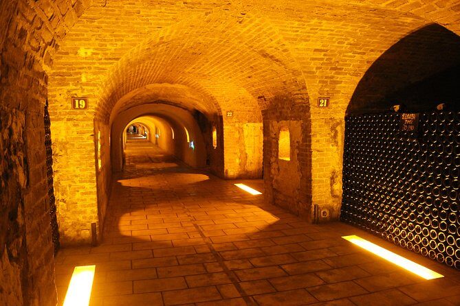 Champagne Private Wine Day Trip with Lunch and Wine Tastings - An In-Depth Look at the Champagne Private Wine Day Trip