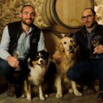 Champagne Tour and Tasting with a friendly guide in Marne Valley - A Detailed Look at the Champagne Tour Experience