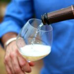 Champagne VIP Day Trip from Paris With Local PRIVATE Wine Expert Guide - Who Will Love This Tour?