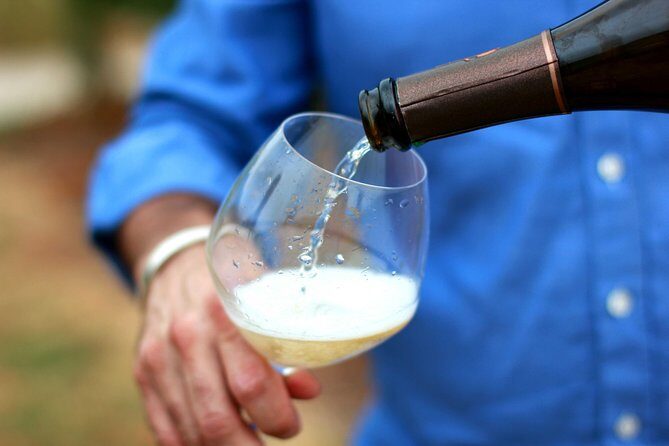 Champagne VIP Day Trip from Paris With Local PRIVATE Wine Expert Guide - Who Will Love This Tour?