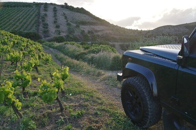Chania 4x4 Sunset Safari Tour - Final Thoughts