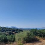 Chania: 5-Wine Tasting with Locals in Village near Kissamos - A Detailed Look at the Experience