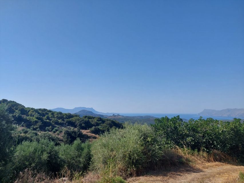 Chania: 5-Wine Tasting with Locals in Village near Kissamos - A Detailed Look at the Experience