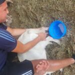 Chania Area: Cooking Class at a Farm in Stylos Village (organic) - Who Should Consider This Tour?