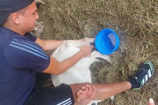 Chania Area: Cooking Class at a Farm in Stylos Village (organic) - Who Should Consider This Tour?