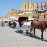 Chania City & Lake Kournas Tour - Authentic Experiences and Authenticity