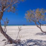 Chania: Elafonisi and Milia Mountain with Loungers and Lunch - A Closer Look at the Tour Experience