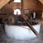 Chania: Olive Harvest Day Trip with Guide & Transport - What’s Included and What’s Not