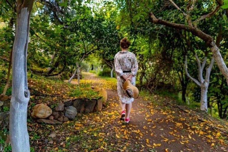 Chania Safari & Botanical Garden  Nature & Aromas Tour - A Deep Dive Into the Experience