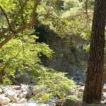 Chania: Samaria Gorge Private Transfer - First Impressions at the Gorge Entrance