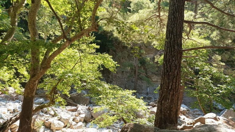 Chania: Samaria Gorge Private Transfer - First Impressions at the Gorge Entrance
