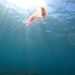 Chania Scuba Diving for Beginners - Who Should Consider This Tour?