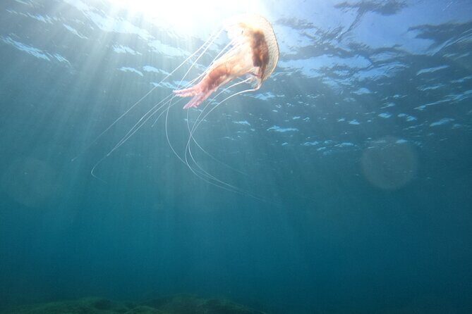 Chania Scuba Diving for Beginners - Who Should Consider This Tour?