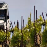 Chania Shore Excursion Off Road Vineyard and Winery Tour Half Day - What Travelers Love About This Tour