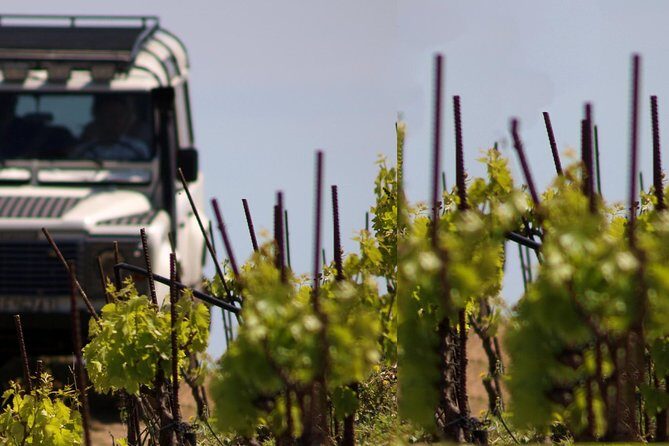 Chania Shore Excursion Off Road Vineyard and Winery Tour Half Day - What Travelers Love About This Tour