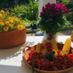 Chania White Mountains Private Tour: From Sea to Summit! - What to Expect in Terms of Logistics