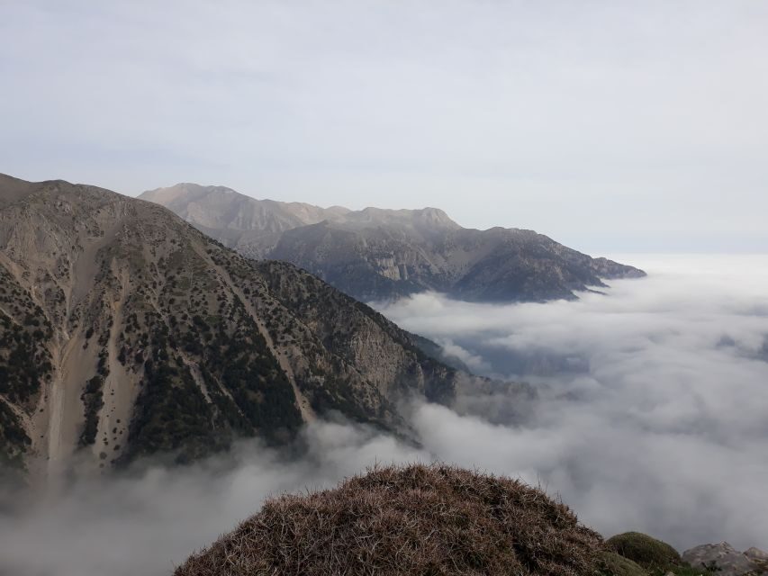 Chania: White Mountains Safari Tour with Lunch and Tastings - In-Depth Review of the White Mountains Safari Tour