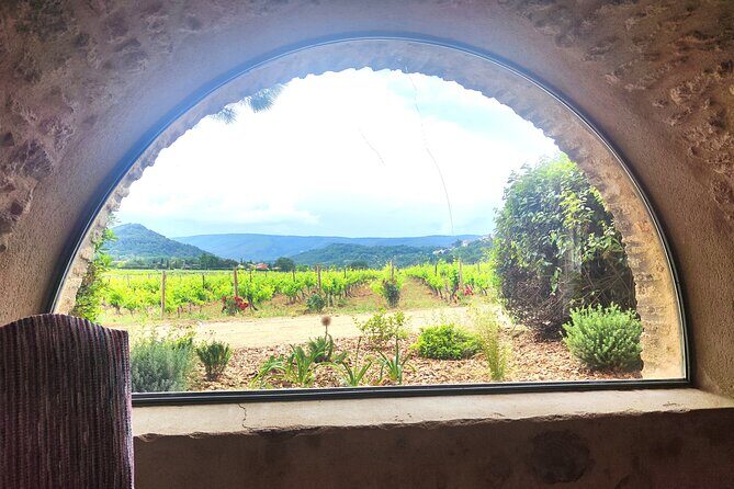 Chateauneuf du Pape and Luberon vineyard tour from Avignon - A Detailed Look at the Tour