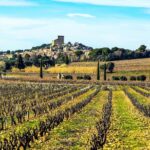 Châteauneuf Du Pape intensive vineyard & fine wine experience - FAQs