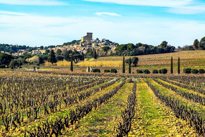 Châteauneuf Du Pape intensive vineyard & fine wine experience - FAQs