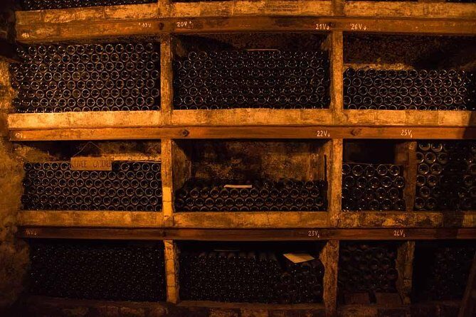 Chateauneuf du Pape wine tour - A Deep Dive into the Châteauneuf-du-Pape Experience