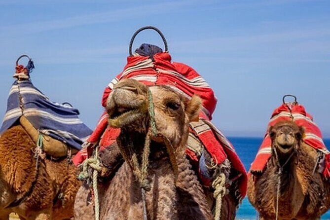 Chefchaouen Day Trip from Seville - FAQ