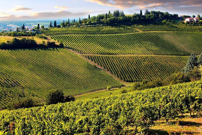 Chianti Half-Day Wine Tour in the Tuscan Hills Small Group from Lucca - The Value of a Small-Group Tour