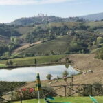 Chianti Wineries Tour with Tuscan Lunch and San Gimignano - Who Will Love This Tour?
