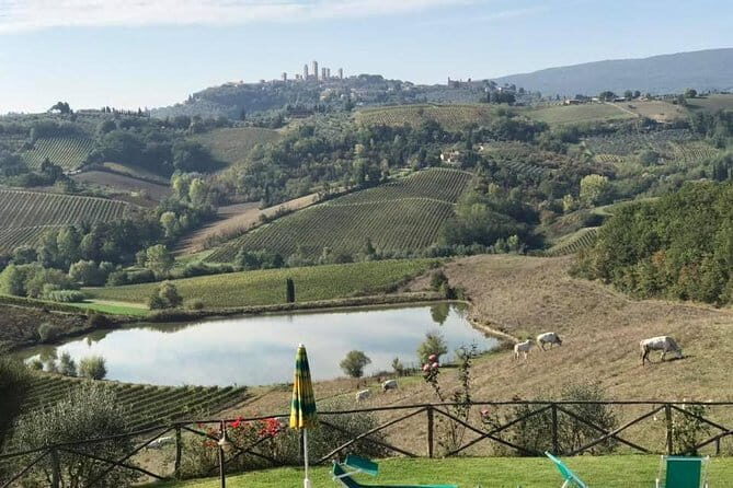 Chianti Wineries Tour with Tuscan Lunch and San Gimignano - Who Will Love This Tour?