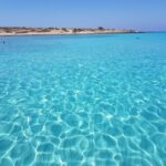Chrisi Island Morning Boat Trip - Diving Into the Experience: What to Expect