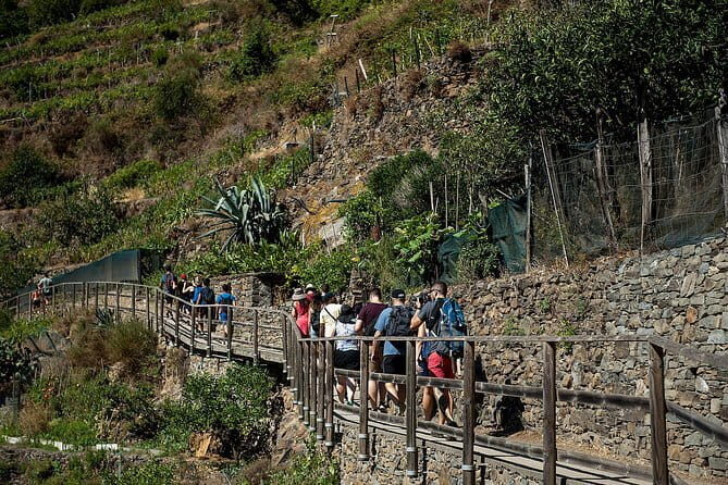 Cinque Terre Day Trip from Florence with Optional Hiking - What Some Travelers Absolutely Love