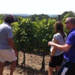 Cité de Carcassonne and Wine Tasting Private Day Tour from Toulouse - What Makes This Tour Stand Out?