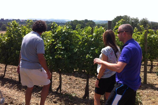 Cité de Carcassonne and Wine Tasting Private Day Tour from Toulouse - What Makes This Tour Stand Out?