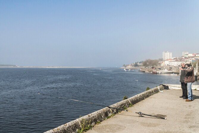 City Bike Rental in Porto - What Does the Day Look Like?
