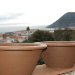 City tour - Walking tour - A Detailed Look at the Itinerary and Experience