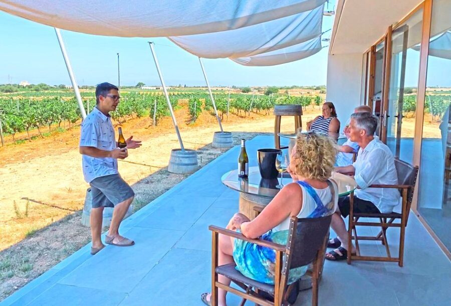 Ciutadella de Menorca: Family Winery Tour with Wine Tasting - In-Depth Review of the Winery Tour Experience