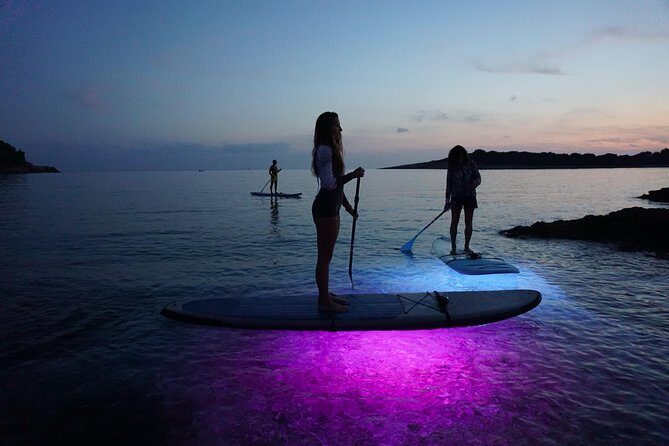 Clear Kayak Glow Night Tour - The Practicalities: What You Need to Know