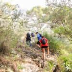 Climb the La Concha: Guided Private Hiking Trip - Exploring Marbella’s Highest Peak: What You Can Expect