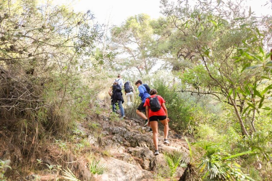 Climb the La Concha: Guided Private Hiking Trip - Exploring Marbella’s Highest Peak: What You Can Expect
