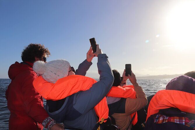 Coastal boat tour in Ribeira Grande and Porto Formoso - Who Should Consider This Tour?