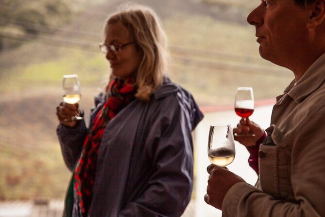 Coffee & Wine: North Route of Gran Canaria Tour - Authentic Experiences and Practical Details