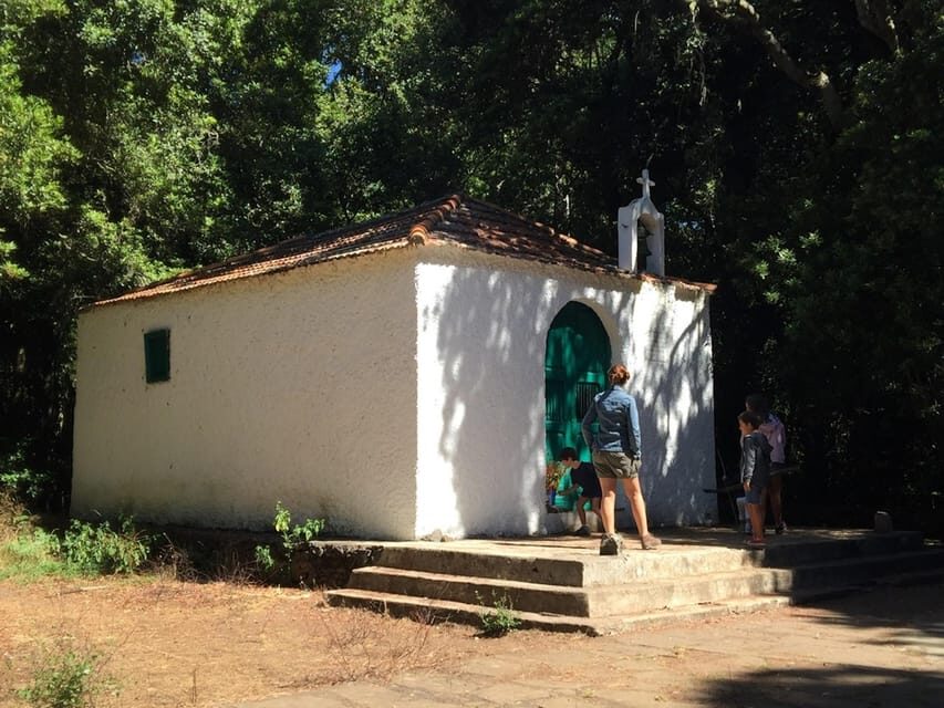 Colon Skies - La Gomera in Focus: What This Tour Delivers