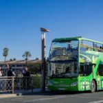 Combo: Hop on hop off + Flamenco Show & Walking tours - The Sum Up: Who Will Love This Tour?