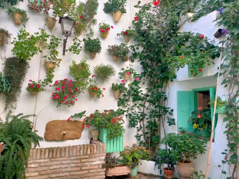 Cordoba Courtyards by Bike, Electric Bike - Why This Tour Stands Out