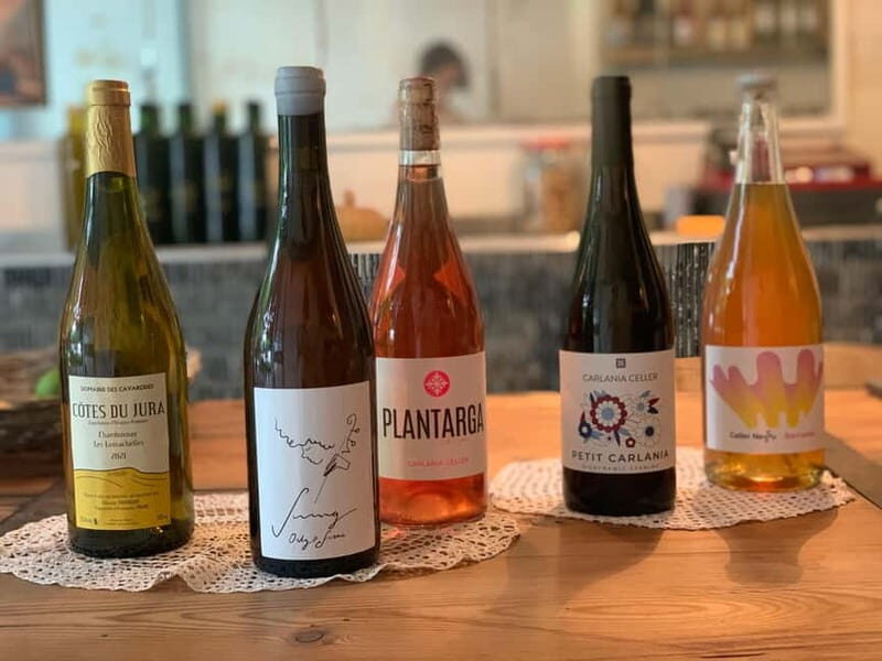 Cordoba: From Vine to Table: A Spanish Wine Experience - Why This Tour Works Well