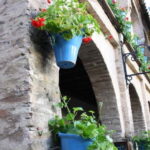 Córdoba: Guided tour in Spanish to the courtyards of Córdoba - FAQ