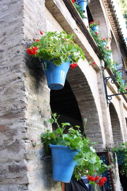 Córdoba: Guided tour in Spanish to the courtyards of Córdoba - FAQ